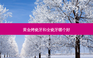 黄金烤瓷牙和全瓷牙哪个好