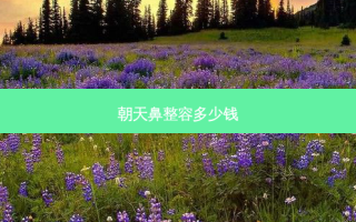 朝天鼻整容多少钱