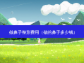 做鼻子整形费用（做的鼻子多少钱）