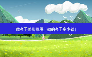 做鼻子整形费用（做的鼻子多少钱）