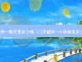 现在种一颗牙要多少钱（门牙磕掉一小块修复多少钱）