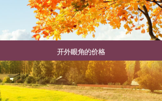 开外眼角的价格