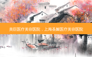 美臣医疗美容医院，上海圣娅医疗美容医院