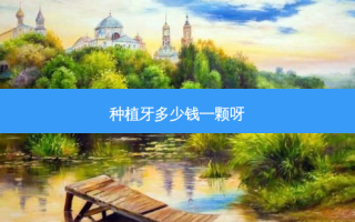 种植牙多少钱一颗呀