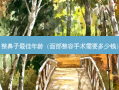 整鼻子佳年龄（面部整容手术需要多少钱）