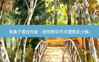 整鼻子佳年龄（面部整容手术需要多少钱）