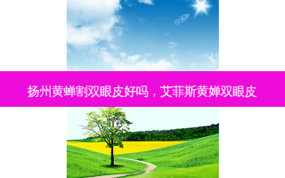 扬州黄蝉割双眼皮好吗，艾菲斯黄婵双眼皮