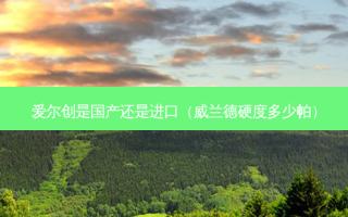 爱尔创是国产还是进口（威兰德硬度多少帕）