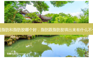 普通脂肪和脂肪胶哪个好，脂肪跟脂肪胶填出来有什么不一样