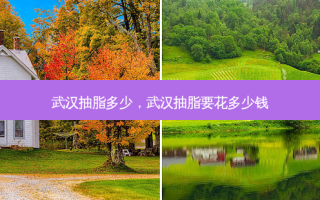 武汉抽脂多少，武汉抽脂要花多少钱