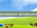 种睫毛还是贴假睫毛好（接睫毛真睫毛会掉光吗）