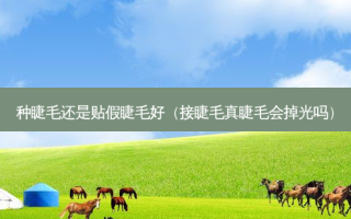 种睫毛还是贴假睫毛好（接睫毛真睫毛会掉光吗）