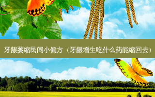 牙龈萎缩民间小偏方（牙龈增生吃什么药能缩回去）