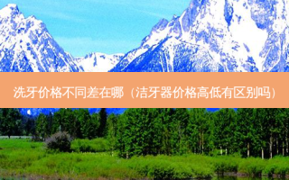 洗牙价格不同差在哪（洁牙器价格高低有区别吗）