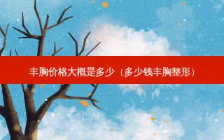 丰胸价格大概是多少（多少钱丰胸整形）