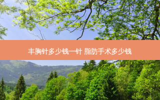 丰胸针多少钱一针 脂肪手术多少钱