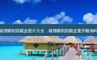 狐狸眼割双眼皮图片大全，狐狸眼割双眼皮要开眼角吗