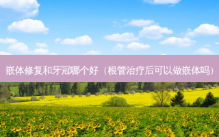 嵌体修复和牙冠哪个好（根管后可以做嵌体吗）