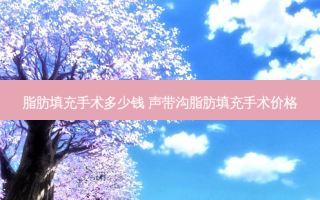 脂肪填充手术多少钱 声带沟脂肪填充手术价格