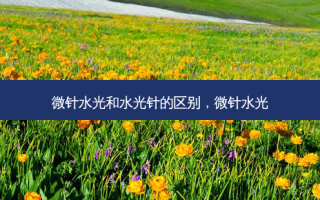 微针水光和水光针的区别，微针水光