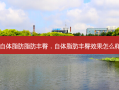自体脂肪脂肪丰臀，自体脂肪丰臀效果怎么样