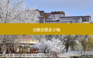 去眼袋要多少钱