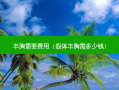 丰胸需要费用（假体丰胸需多少钱）