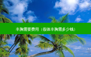 丰胸需要费用（假体丰胸需多少钱）