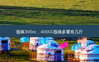 假体300cc，400CC假体多重有几斤