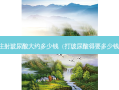注射玻尿酸大约多少钱（打玻尿酸得要多少钱）