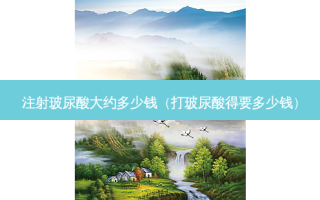 注射玻尿酸大约多少钱（打玻尿酸得要多少钱）