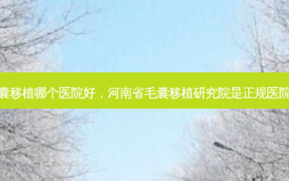 毛囊移植哪个医院好，河南省毛囊移植研究院是正规医院吗