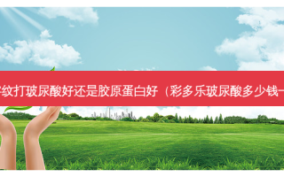川字纹打玻尿酸好还是胶原蛋白好（彩多乐玻尿酸多少钱一针）