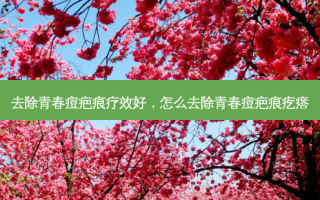 去除青春痘疤痕疗效好，怎么去除青春痘疤痕疙瘩