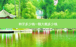 种牙多少钱一颗大概多少钱