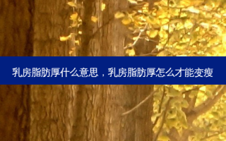  *** 脂肪厚什么意思， *** 脂肪厚怎么才能变瘦