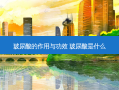 玻尿酸的作用与功效 玻尿酸是什么