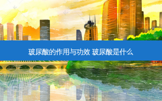 玻尿酸的作用与功效 玻尿酸是什么