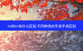 kb和kh有什么区别 不同种类的手表手表区别