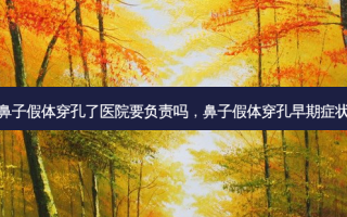 鼻子假体穿孔了医院要负责吗，鼻子假体穿孔早期症状