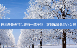 玻尿酸隆鼻可以维持一辈子吗，玻尿酸隆鼻能永久吗