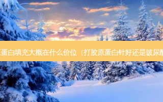 胶原蛋白填充大概在什么价位（打胶原蛋白针好还是玻尿酸好）