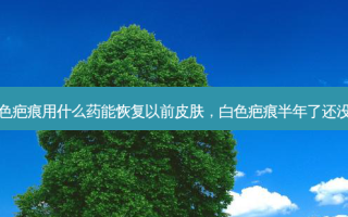 白色疤痕用什么药能恢复以前皮肤，白色疤痕半年了还没消