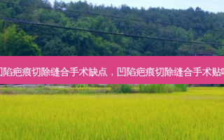 凹陷疤痕切除缝合手术缺点，凹陷疤痕切除缝合手术贴吧