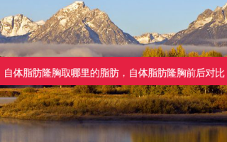 自体脂肪隆胸取哪里的脂肪，自体脂肪隆胸前后对比