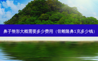 鼻子整形大概需要多少费用（骨雕隆鼻1克多少钱）