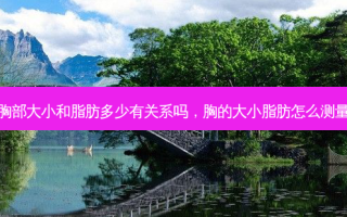 胸部大小和脂肪多少有关系吗，胸的大小脂肪怎么测量