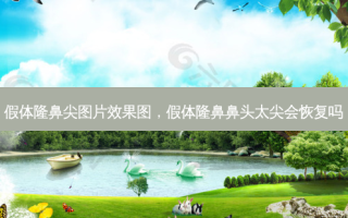 假体隆鼻尖图片效果图，假体隆鼻鼻头太尖会恢复吗