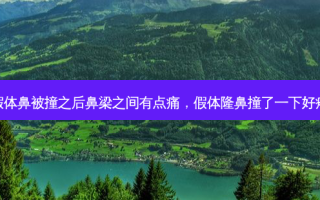 假体鼻被撞之后鼻梁之间有点痛，假体隆鼻撞了一下好疼