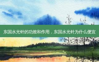 东国水光针的功效和作用，东国水光针为什么便宜